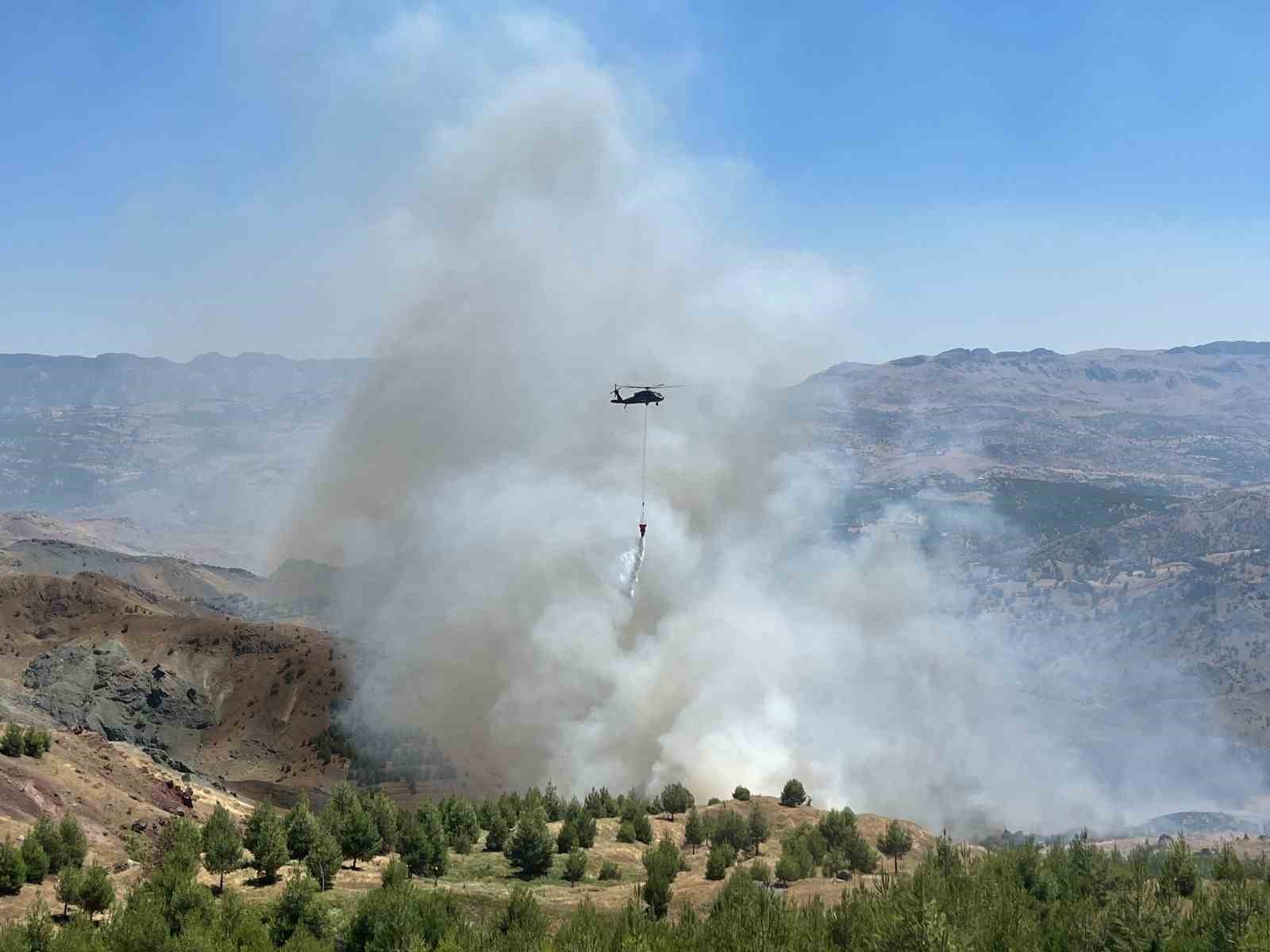 Çobanın çay ateşi ormana sıçradı
