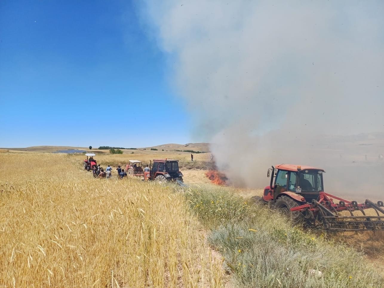 20 dekar ekili alan yangında kül oldu
