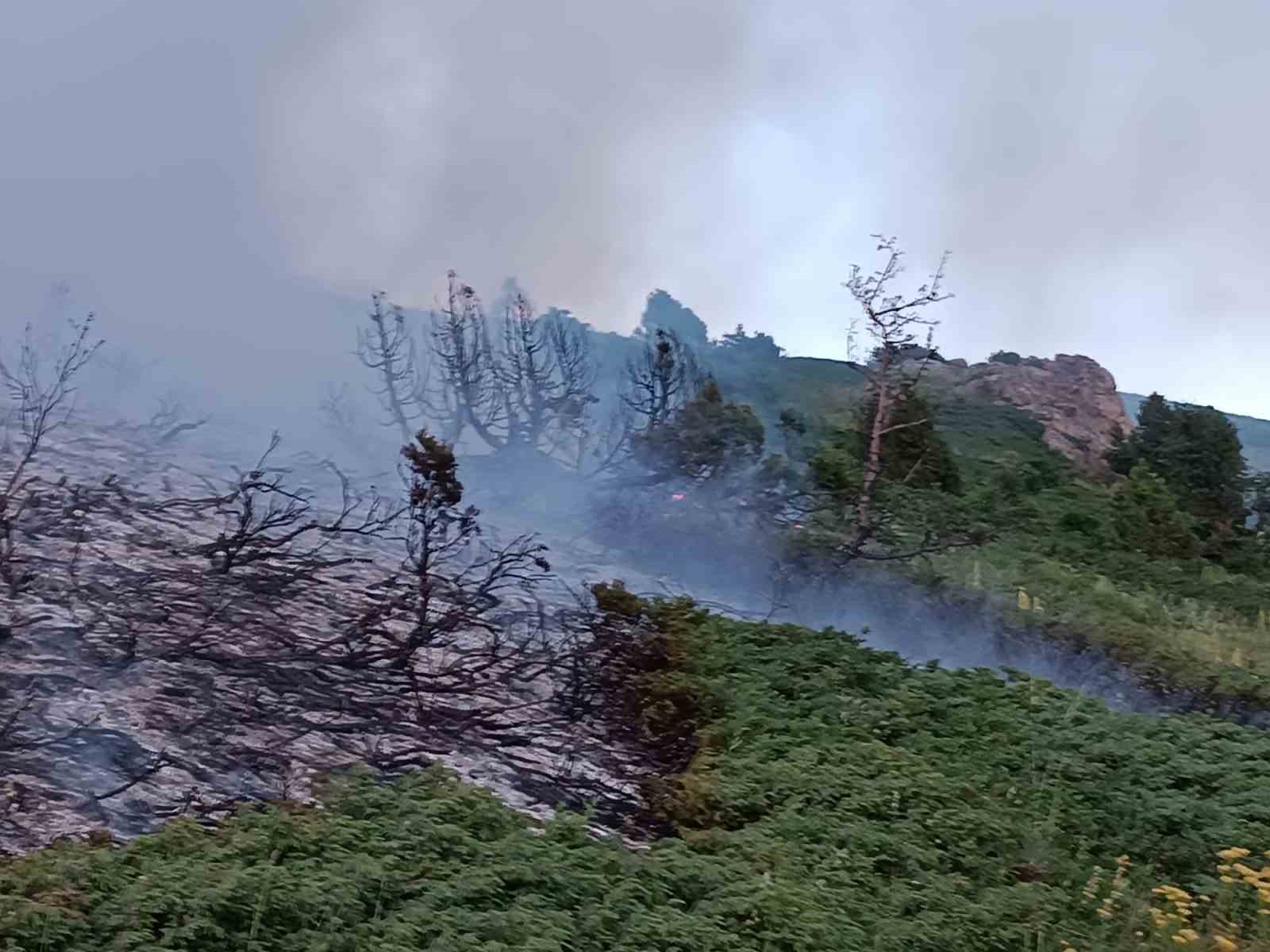 Tunceli’de ağaçlık alanda yangın
