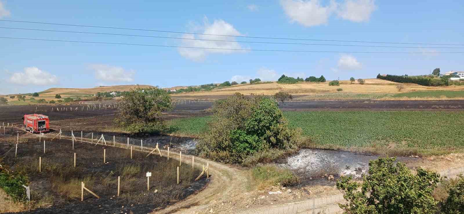 Silivri’de otluk alanda yangın: Alevler yerleşim alanına doğru ilerledi, panik yaşandı
