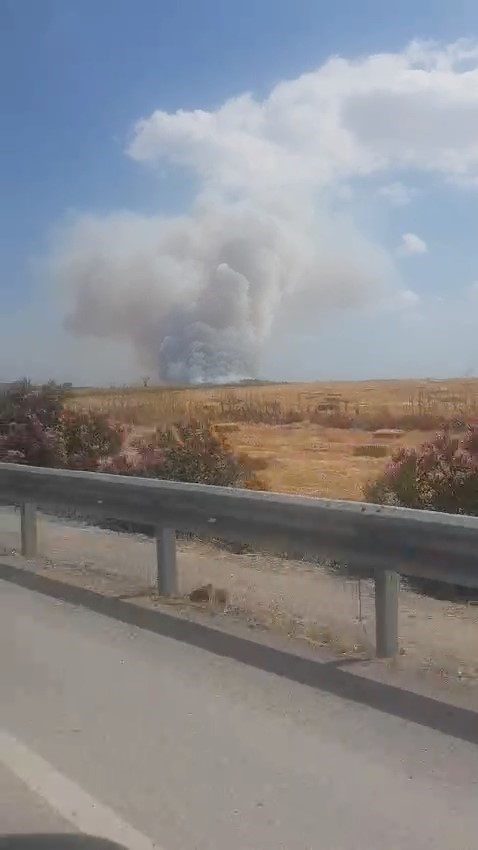 Balıkesir’de makilik alandaki yangın ormana sıçradı
