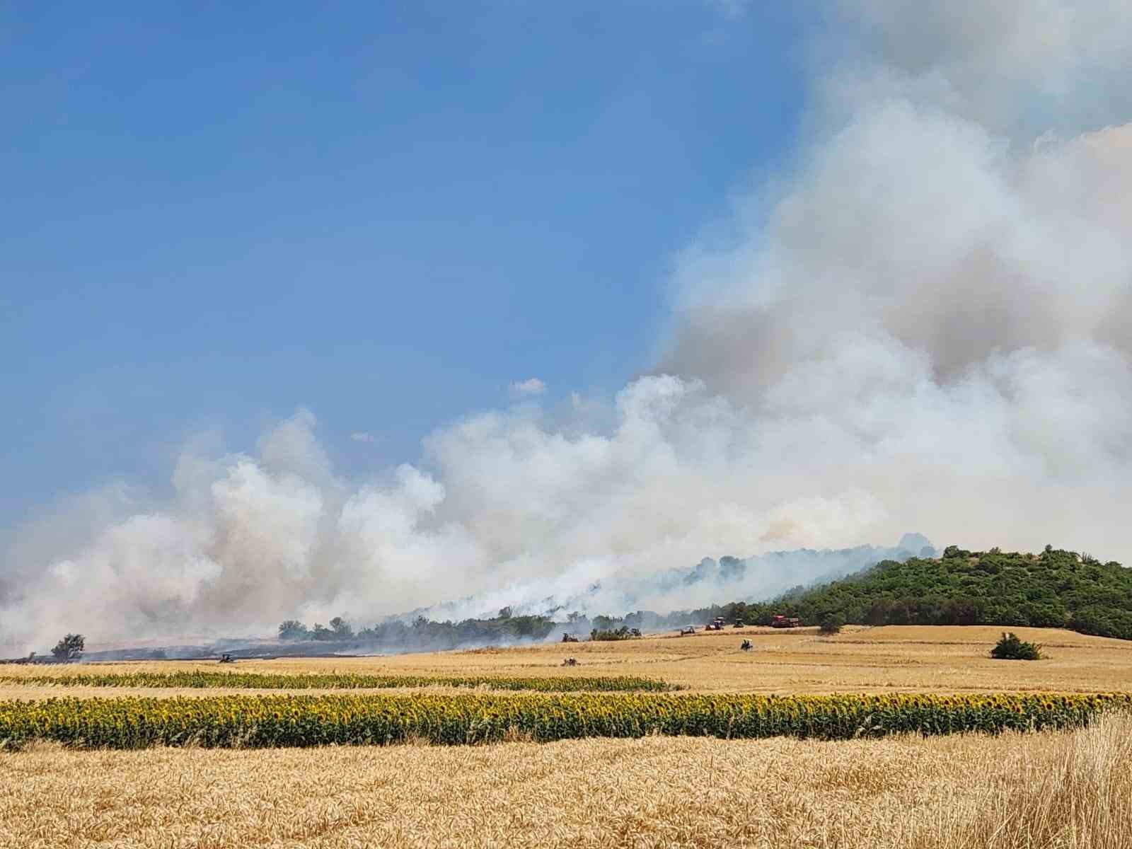 Balıkesir’de makilik alandaki yangın ormana sıçradı
