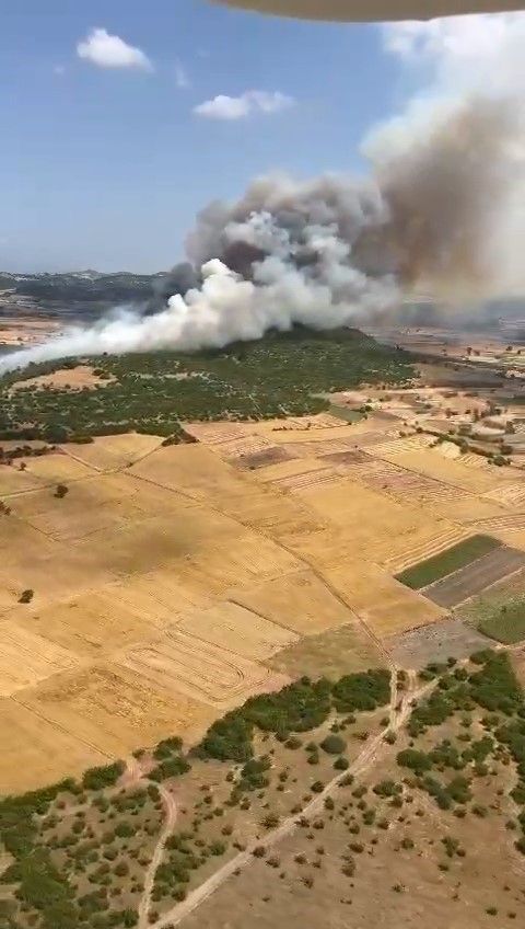 Balıkesir’de makilik alandaki yangın ormana sıçradı
