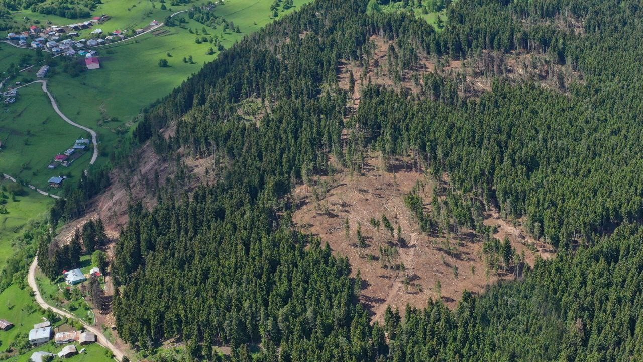 Şavşat Karagöl Sahara Milli Parkında zararlı böceklerle mücadele sürüyor
