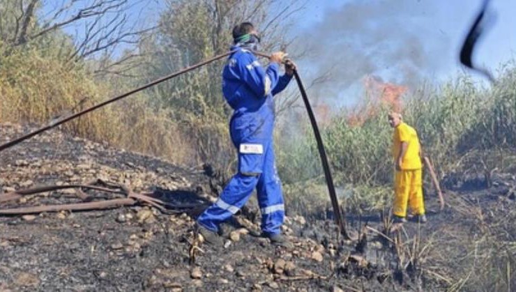 Osmaniye’de Kastabala Kuş Cenneti’nde çıkan yangın söndürüldü
