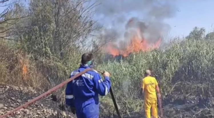 Osmaniye’de Kastabala Kuş Cenneti’nde çıkan yangın söndürüldü
