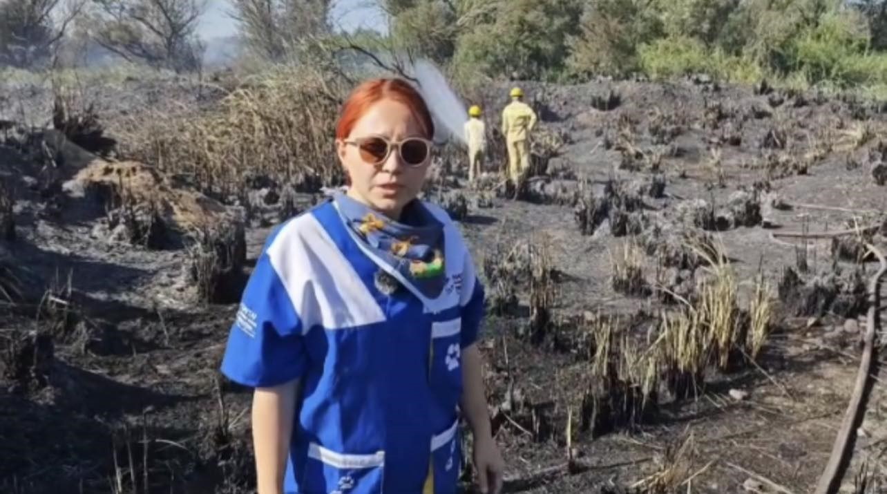 Osmaniye’de Kastabala Kuş Cenneti’nde çıkan yangın söndürüldü
