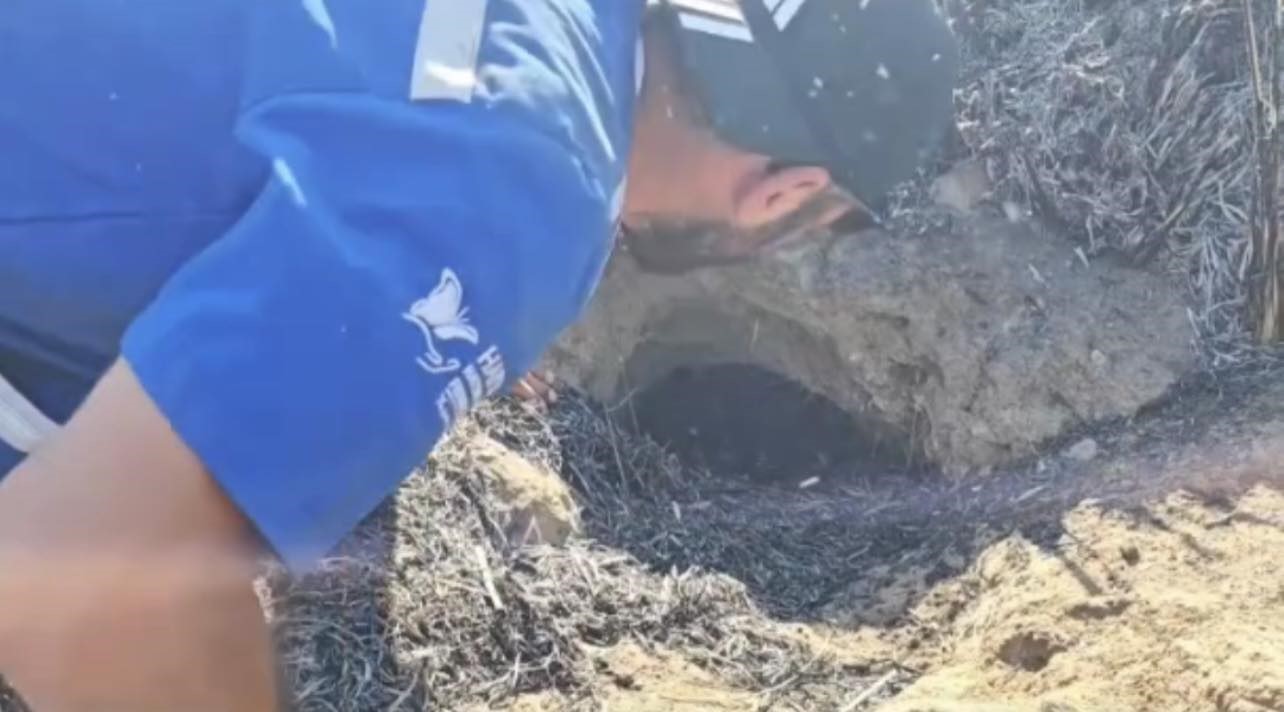 Osmaniye’de Kastabala Kuş Cenneti’nde çıkan yangın söndürüldü
