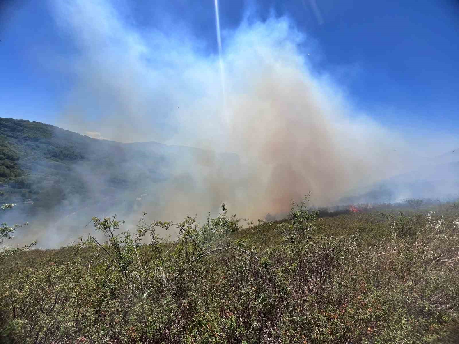 Kastamonu’da orman yangını
