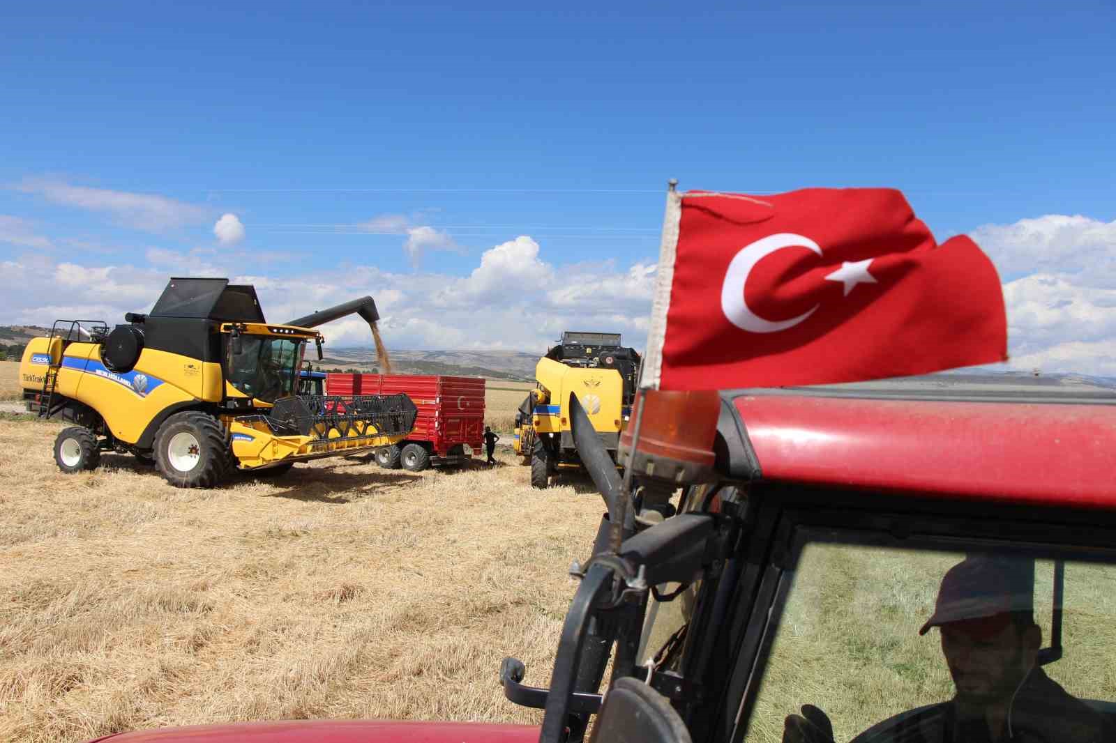 Gökhöyük’te tohumluk buğday hasadı başladı: 4 bin 500 ton üretim bekleniyor
