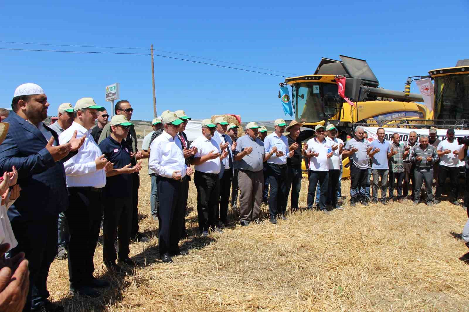 Gökhöyük’te tohumluk buğday hasadı başladı: 4 bin 500 ton üretim bekleniyor
