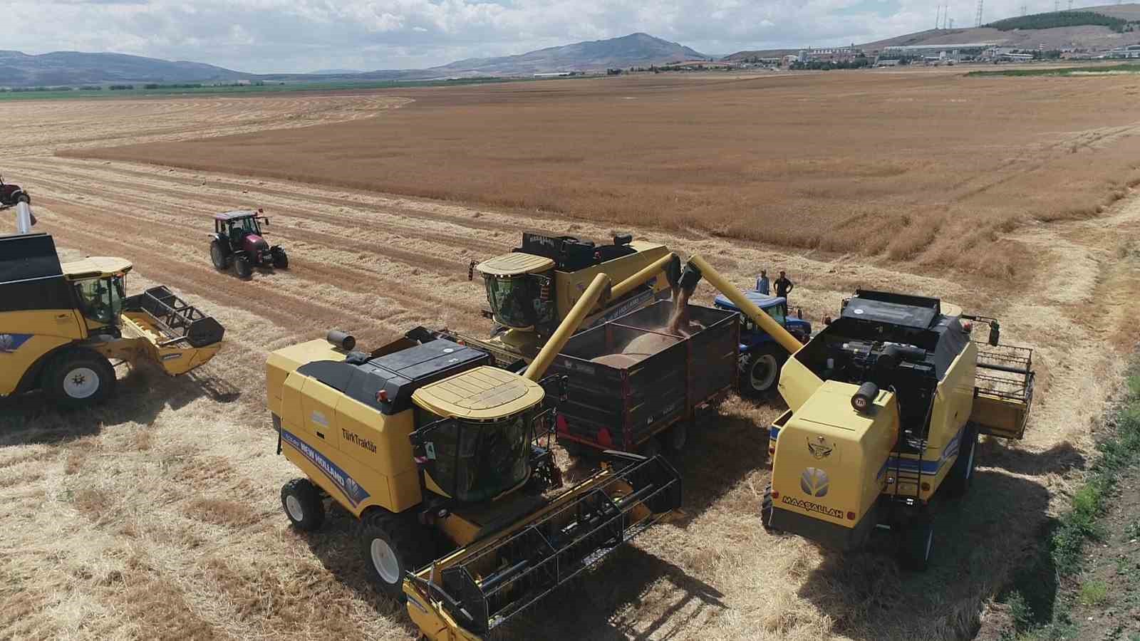 Gökhöyük’te tohumluk buğday hasadı başladı: 4 bin 500 ton üretim bekleniyor
