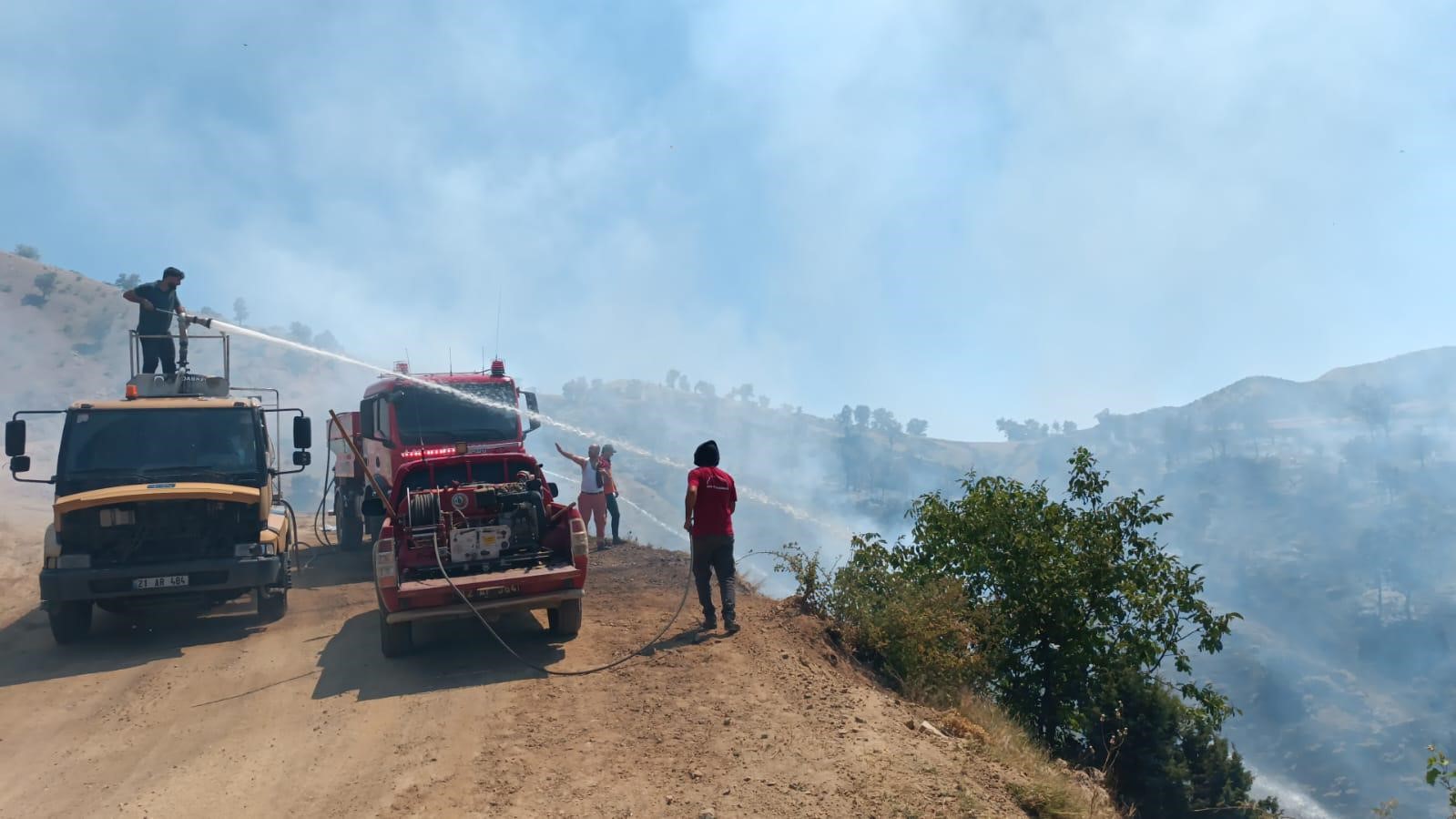 Bingöl’de iki ayrı ilçedeki orman yangınları söndürüldü
