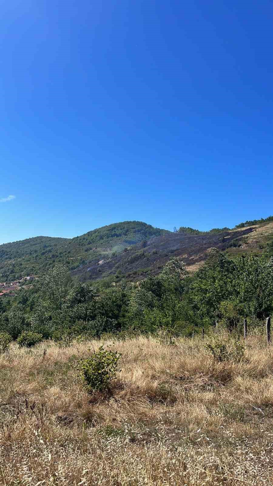 Kastamonu’daki orman yangını söndürüldü
