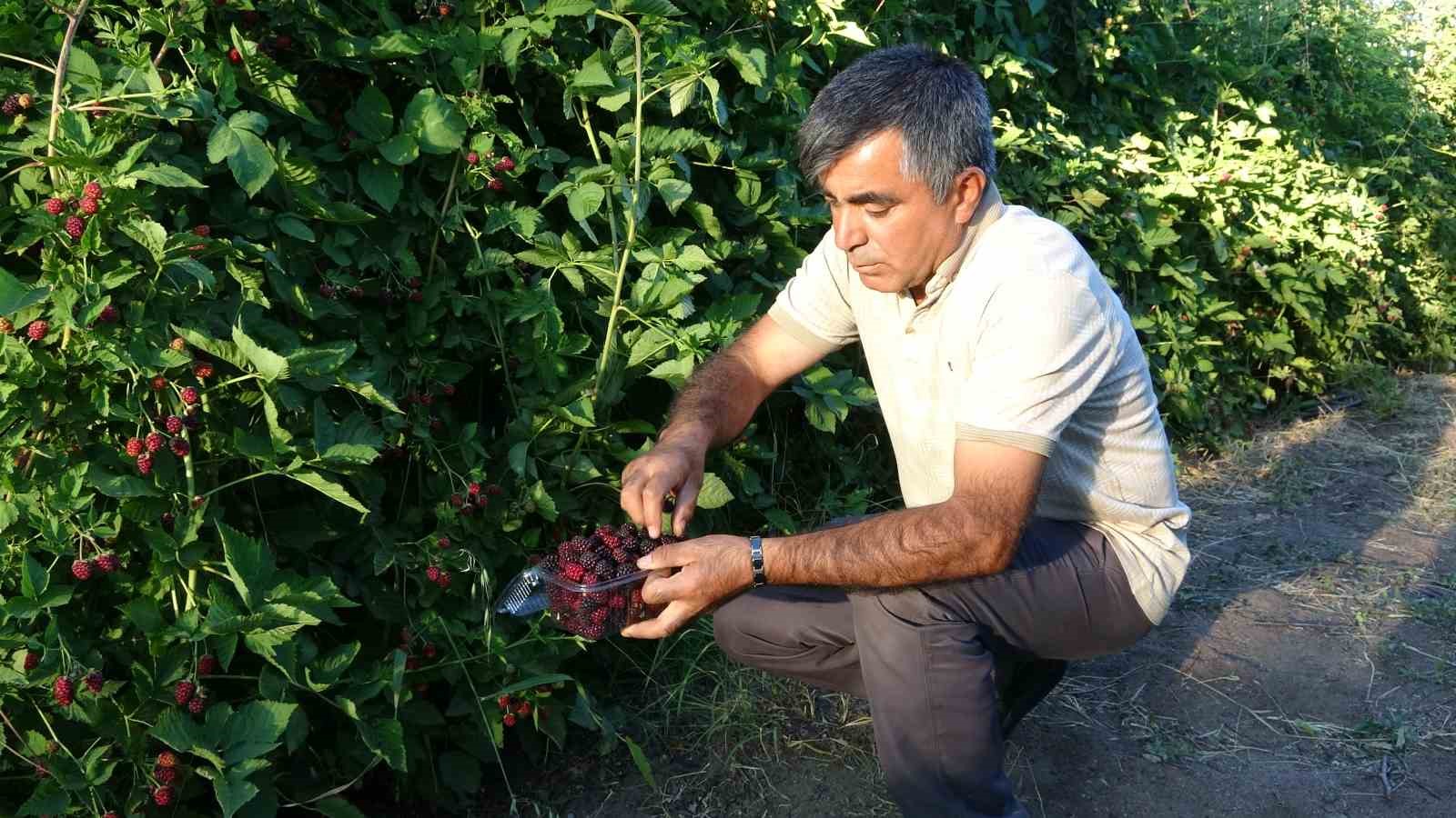 3 yıl önce evinin bahçesinde hobi olarak başladı, şimdi taleplere yetişemiyor
