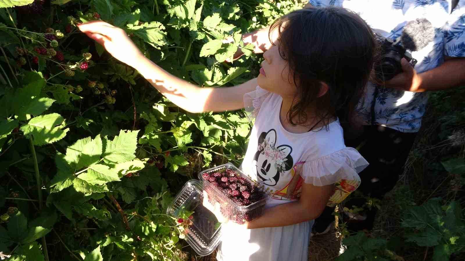 3 yıl önce evinin bahçesinde hobi olarak başladı, şimdi taleplere yetişemiyor
