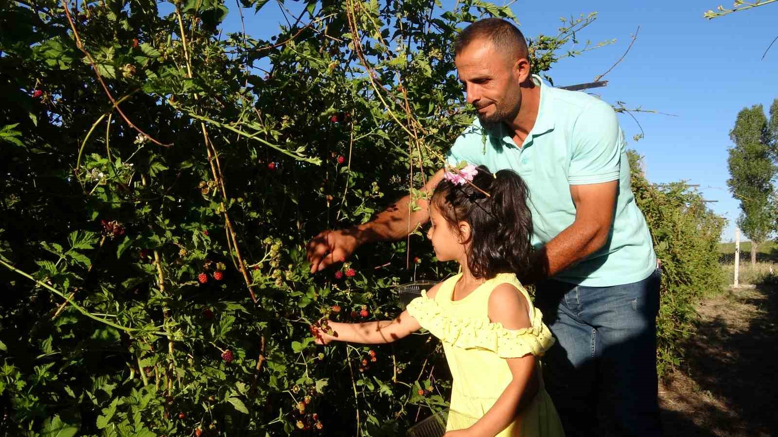 3 yıl önce evinin bahçesinde hobi olarak başladı, şimdi taleplere yetişemiyor
