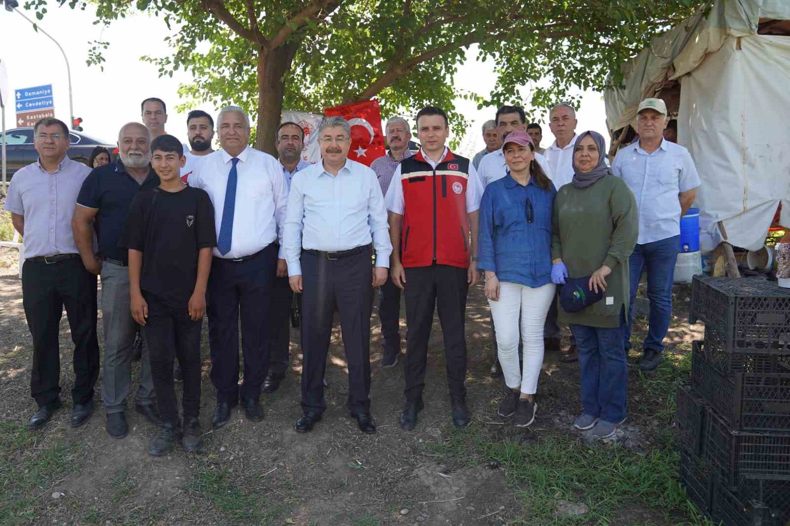 Türkiye’nin bamya üretim merkezinde hasat başladı
