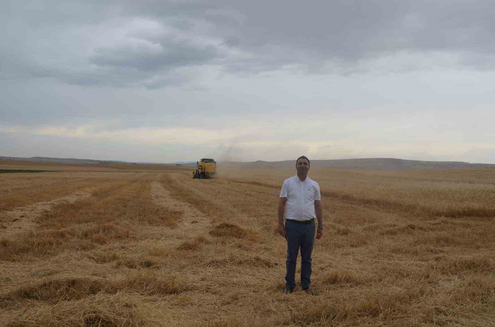 Beylikova Belediyesi hububat hasadına başladı
