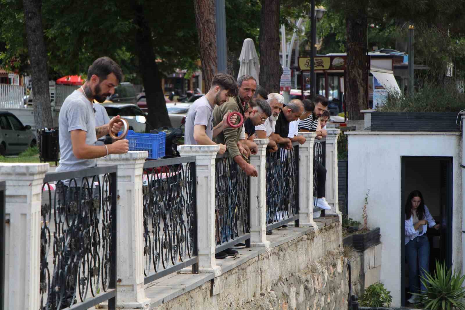 Amasya’da Yeşilırmak Nehri’nde balık ölümleri: Balık tutanlar ‘zehirli olabilir’ diye uyarıldı
