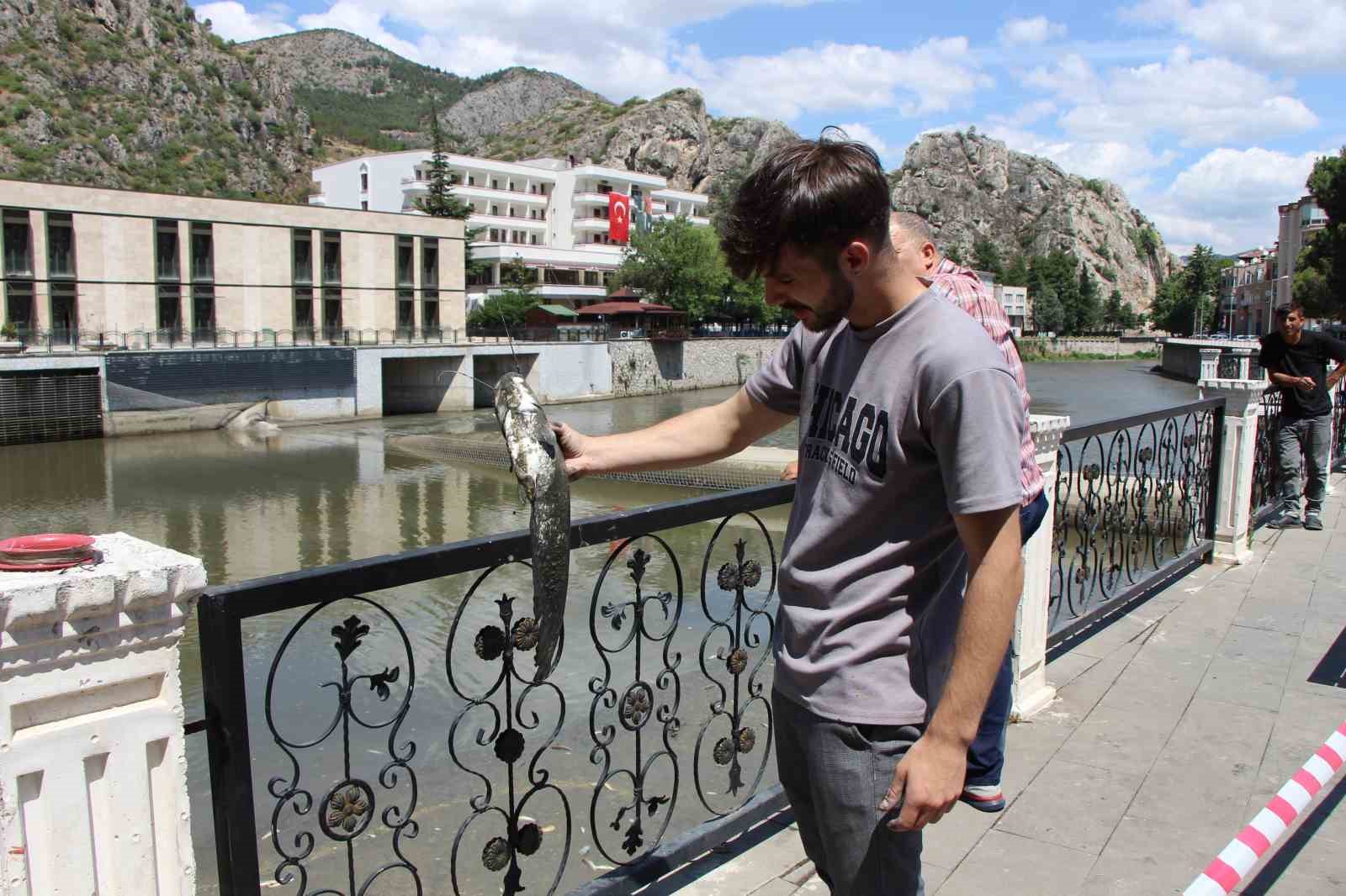 Amasya’da Yeşilırmak Nehri’nde balık ölümleri: Balık tutanlar ‘zehirli olabilir’ diye uyarıldı
