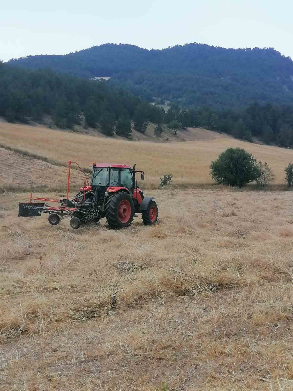 Rüzgarla birlikte havaya kalkan otlar elektrik tellerine çaptı, ot yangını çıktı
