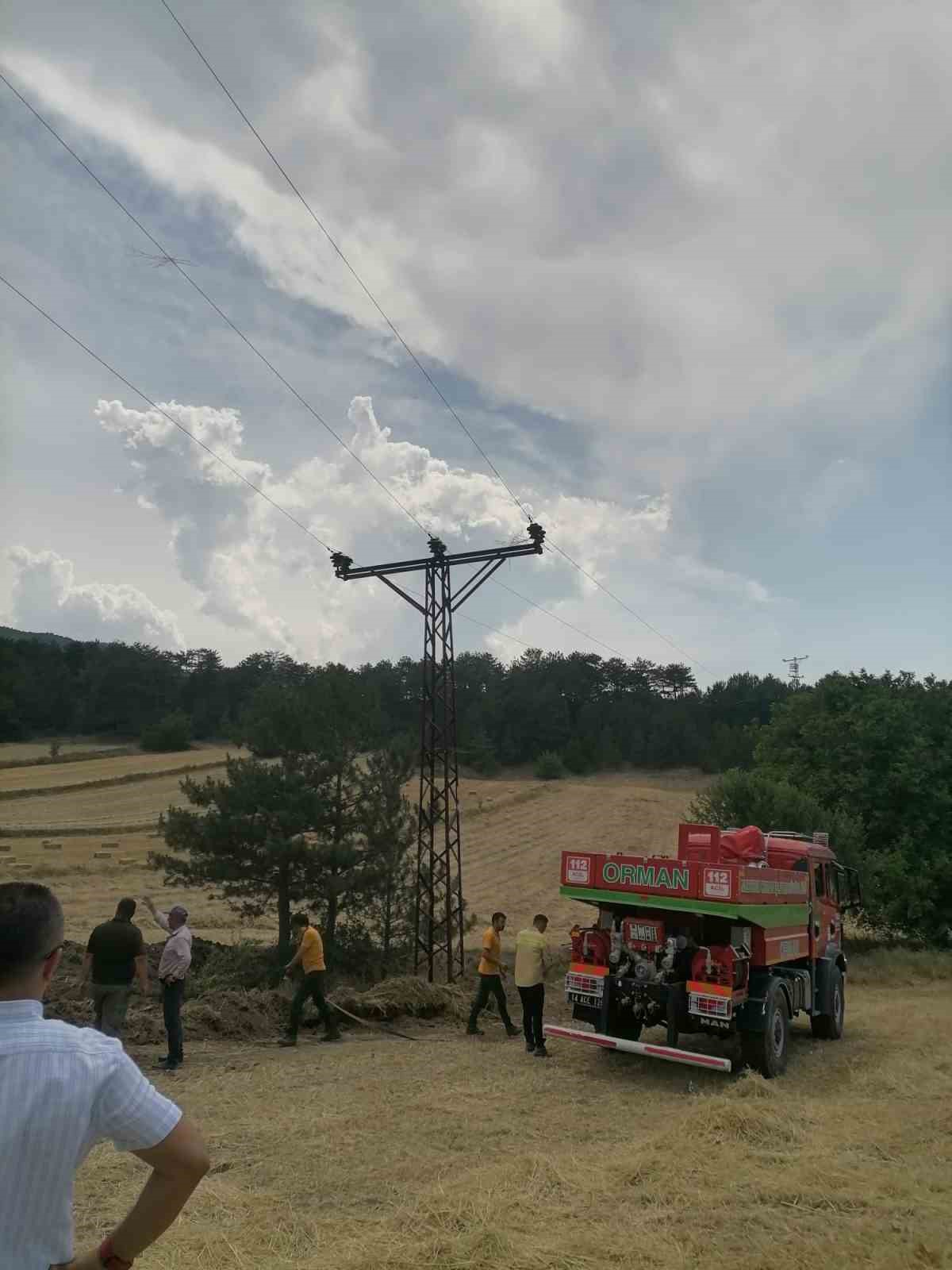 Rüzgarla birlikte havaya kalkan otlar elektrik tellerine çaptı, ot yangını çıktı
