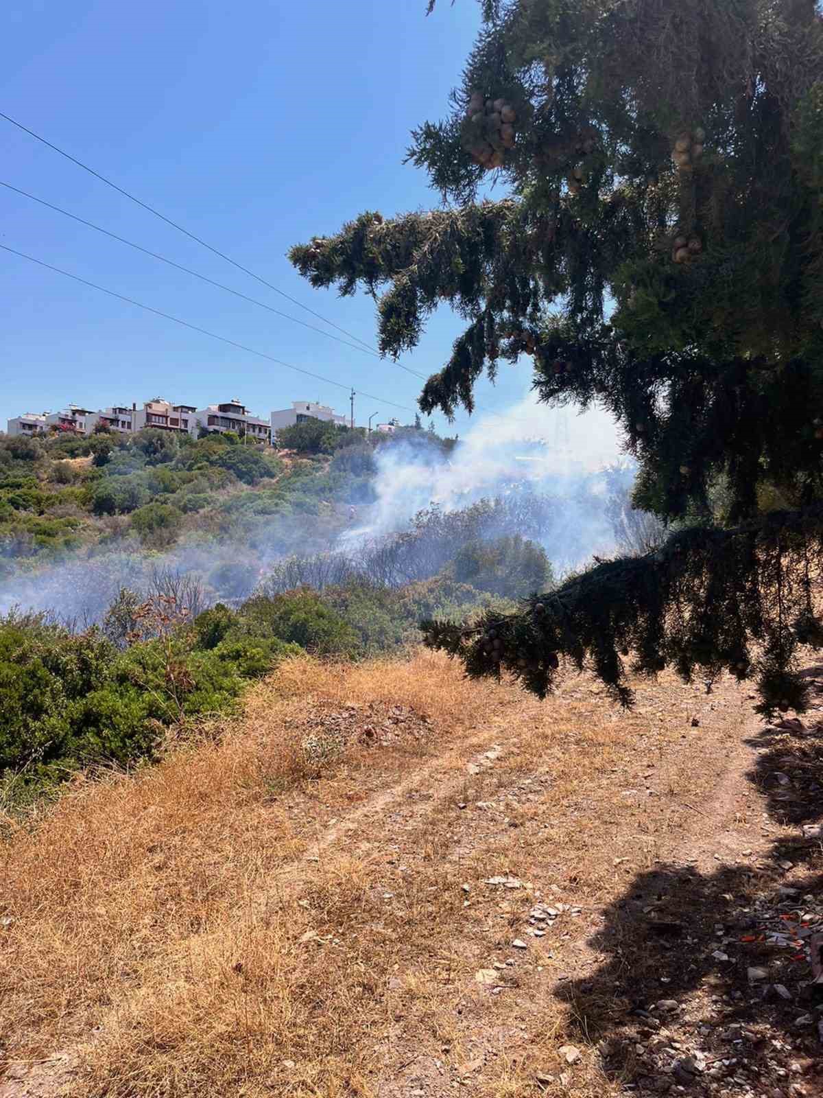 Bodrum Adabük’ünde trafo patladı, alevler lüks sitelere ulaşmadan önlendi
