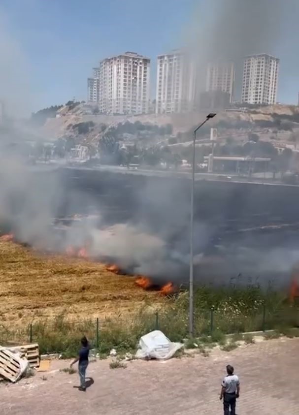 Kuşadası’ndaki kuru ot yangını itfaiyenin hızlı müdahalesiyle söndürüldü
