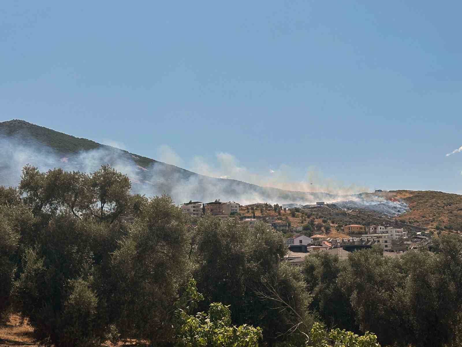 Milas’ta makilik yangını evleri tehdit etti
