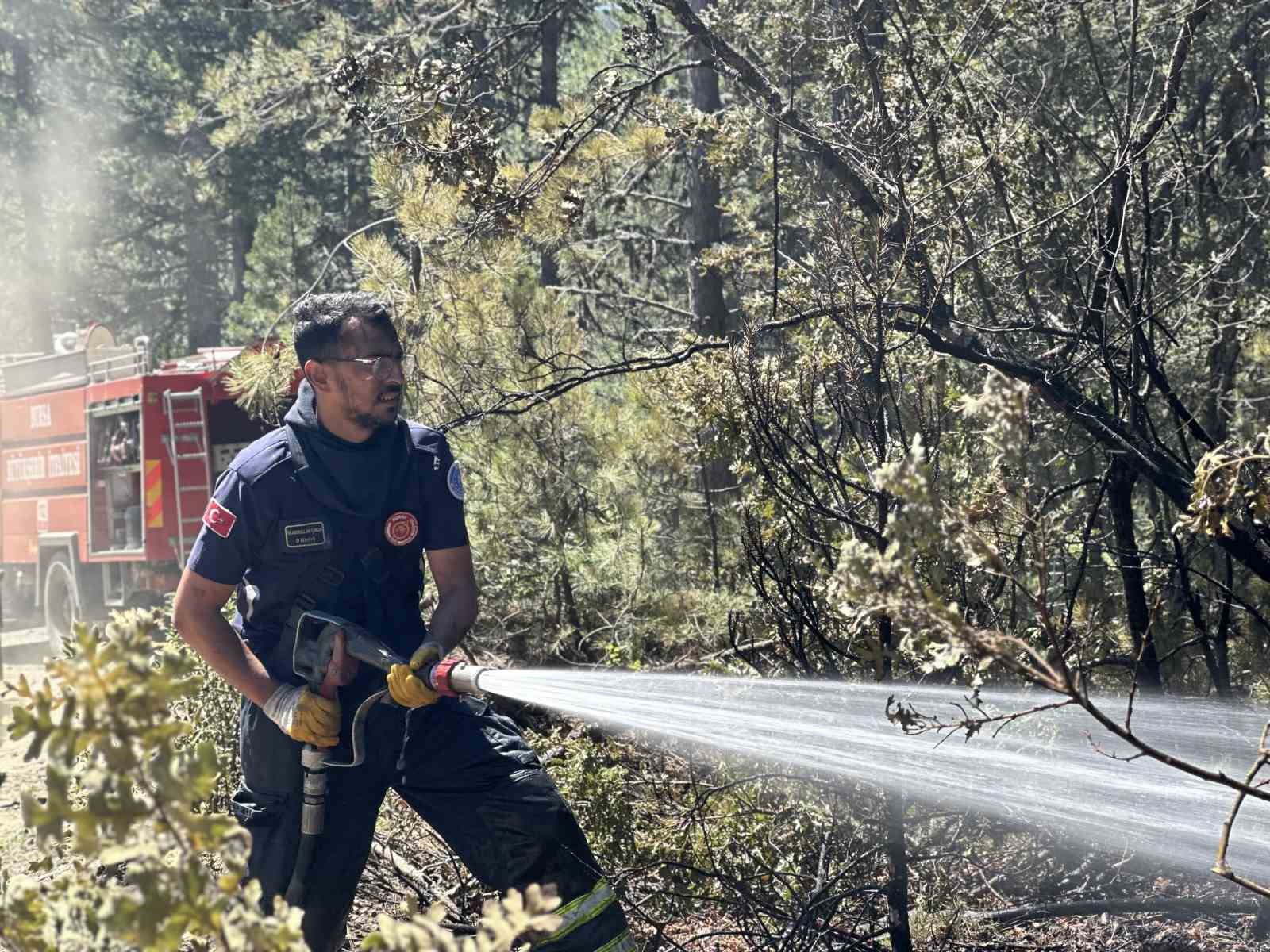 Orman yangınında yürekleri serinleten detay
