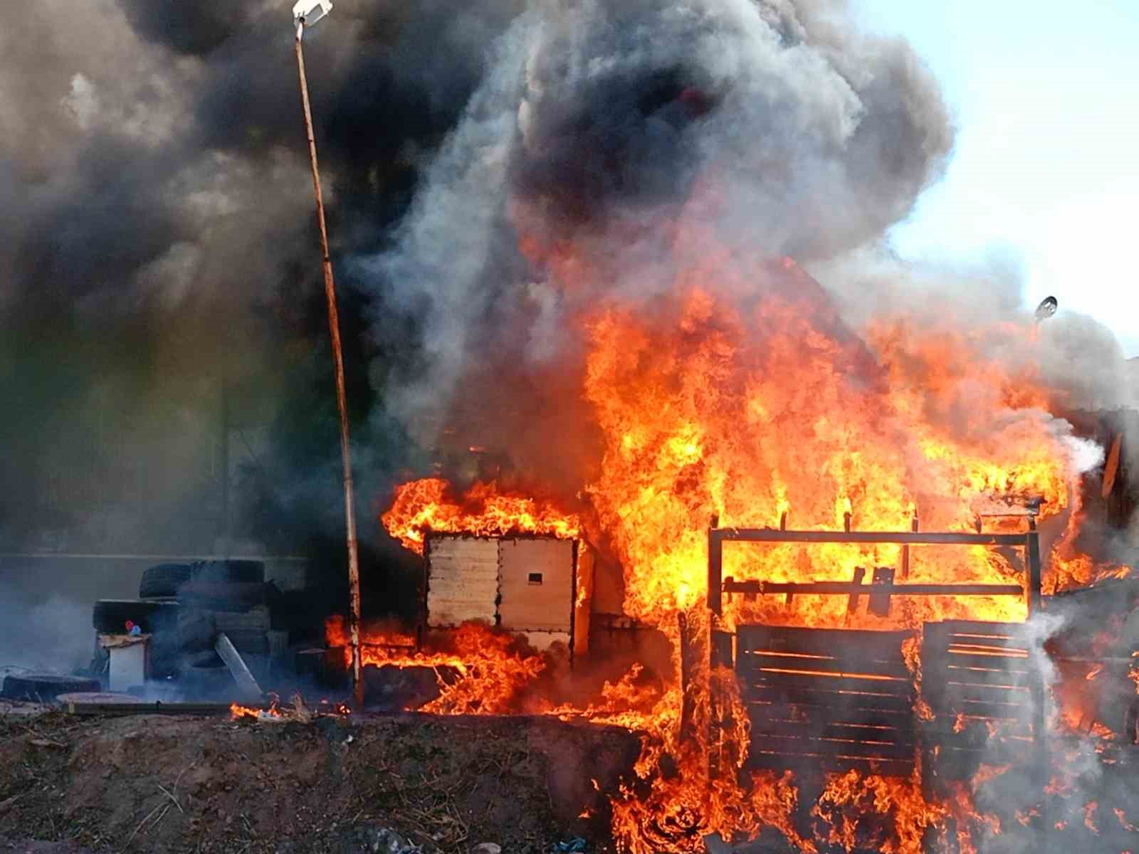 Yalova’da oto lastik dükkanı alevlere teslim oldu
