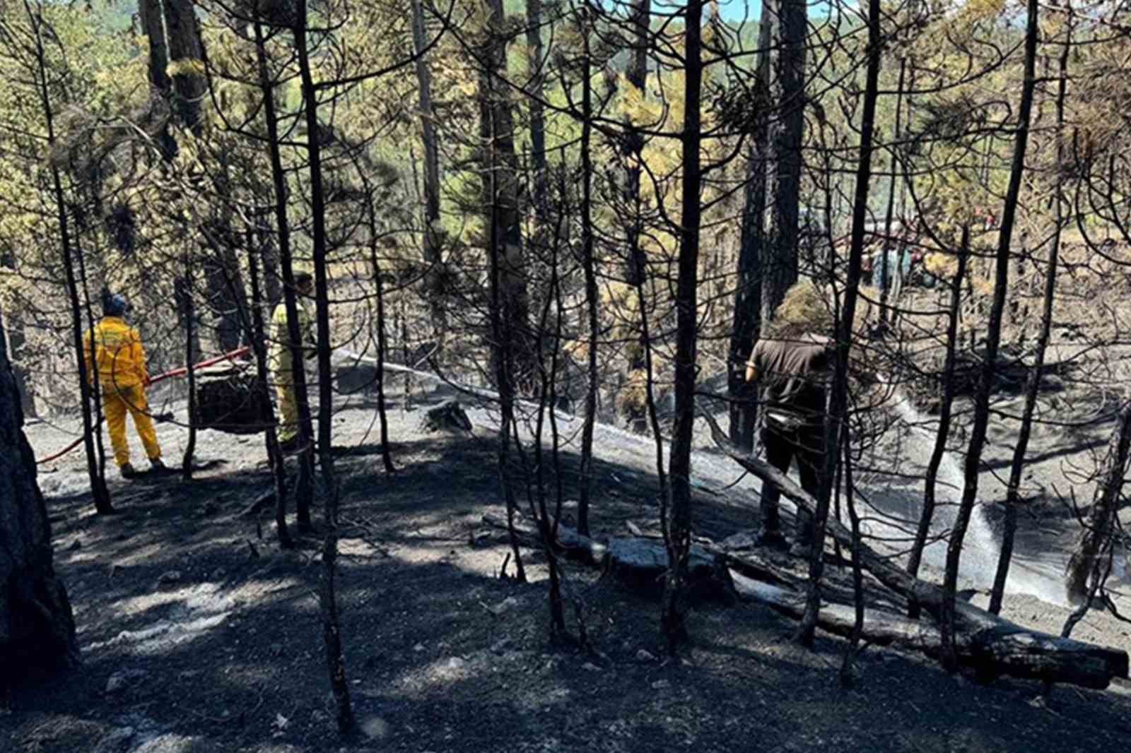 Keles’teki orman yangınına 13 dakikada müdahale
