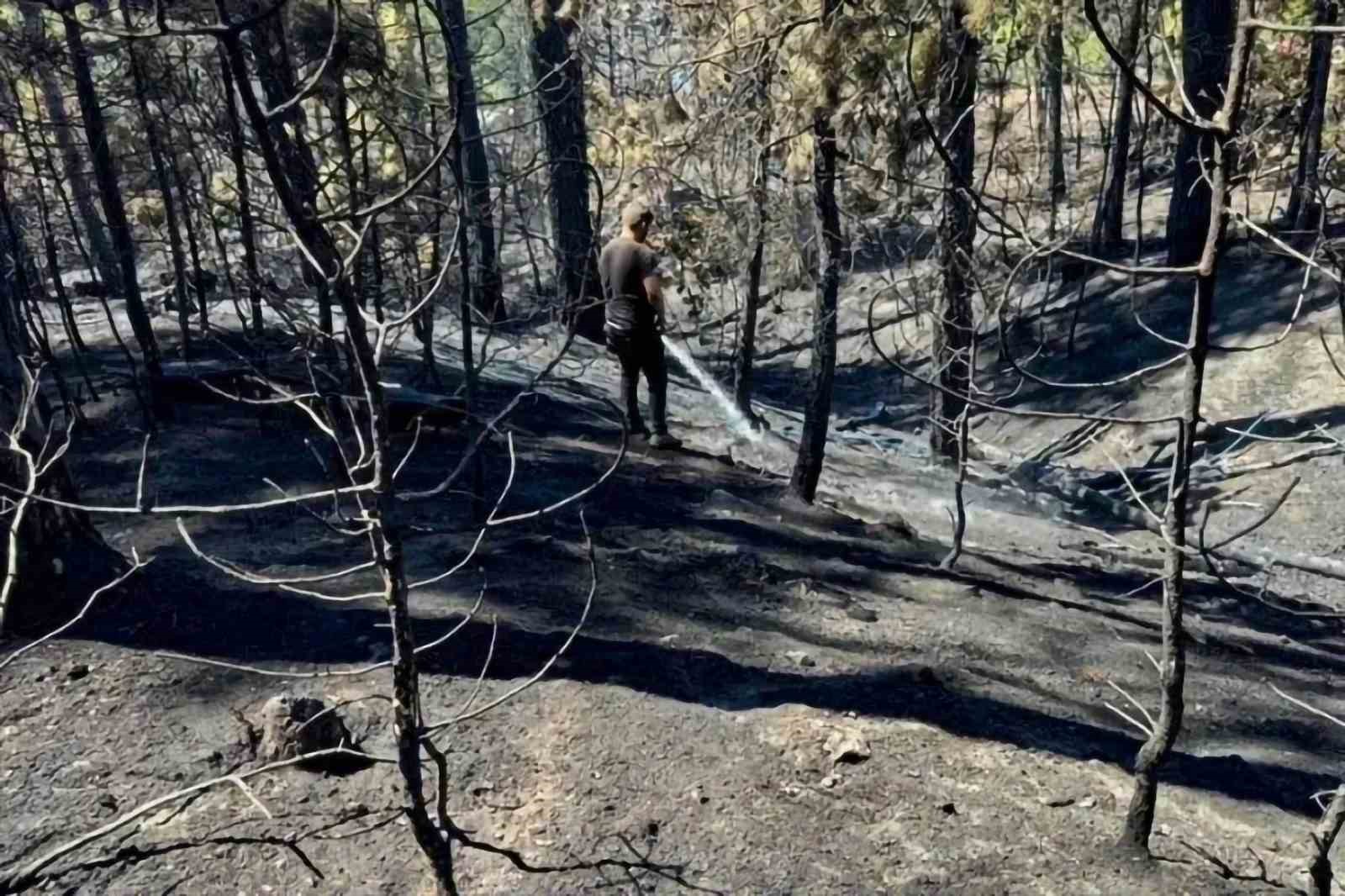 Keles’teki orman yangınına 13 dakikada müdahale
