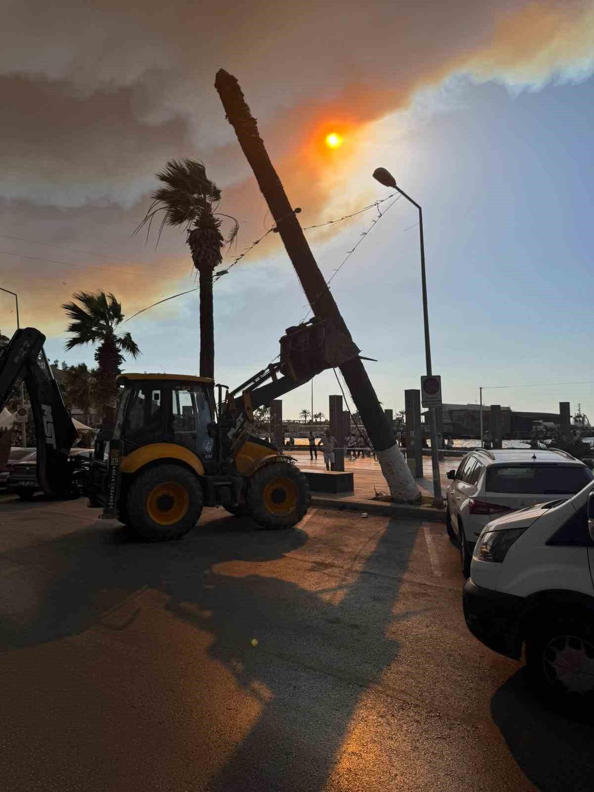 Kuşadası’nda devrilen ağaç ekiplerin müdahalesiyle kaldırıldı
