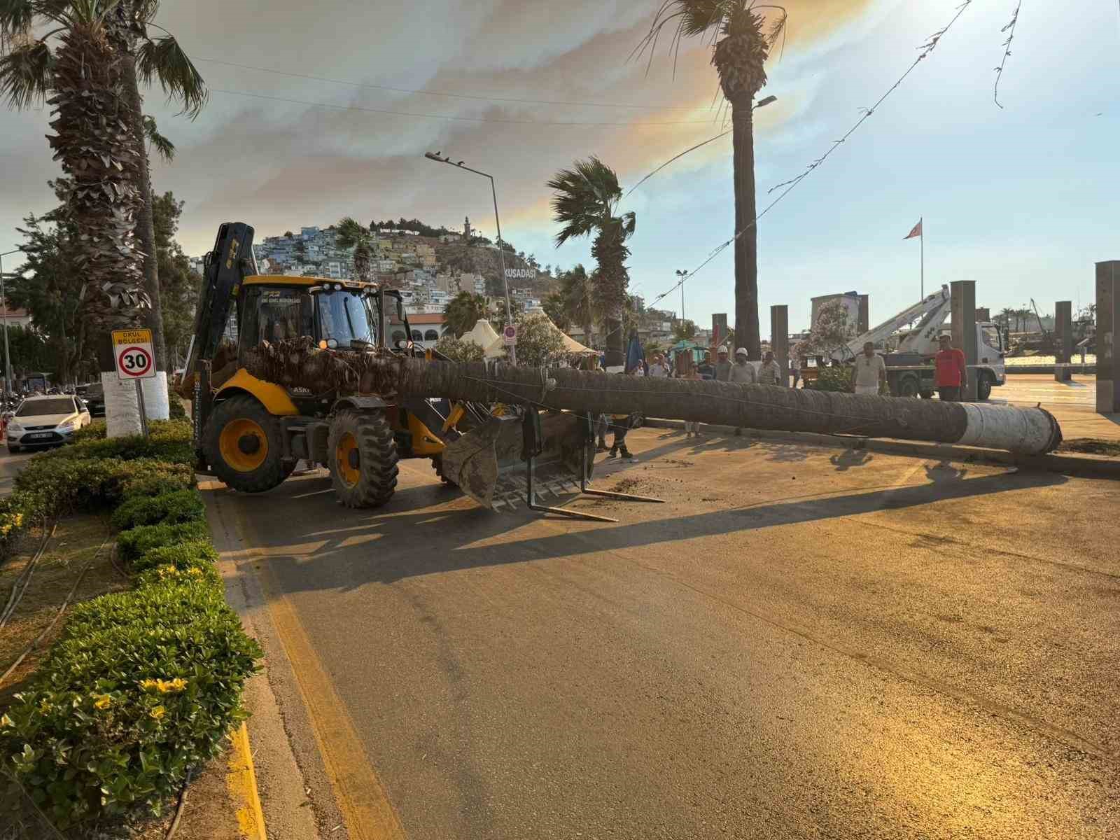 Kuşadası’nda devrilen ağaç ekiplerin müdahalesiyle kaldırıldı
