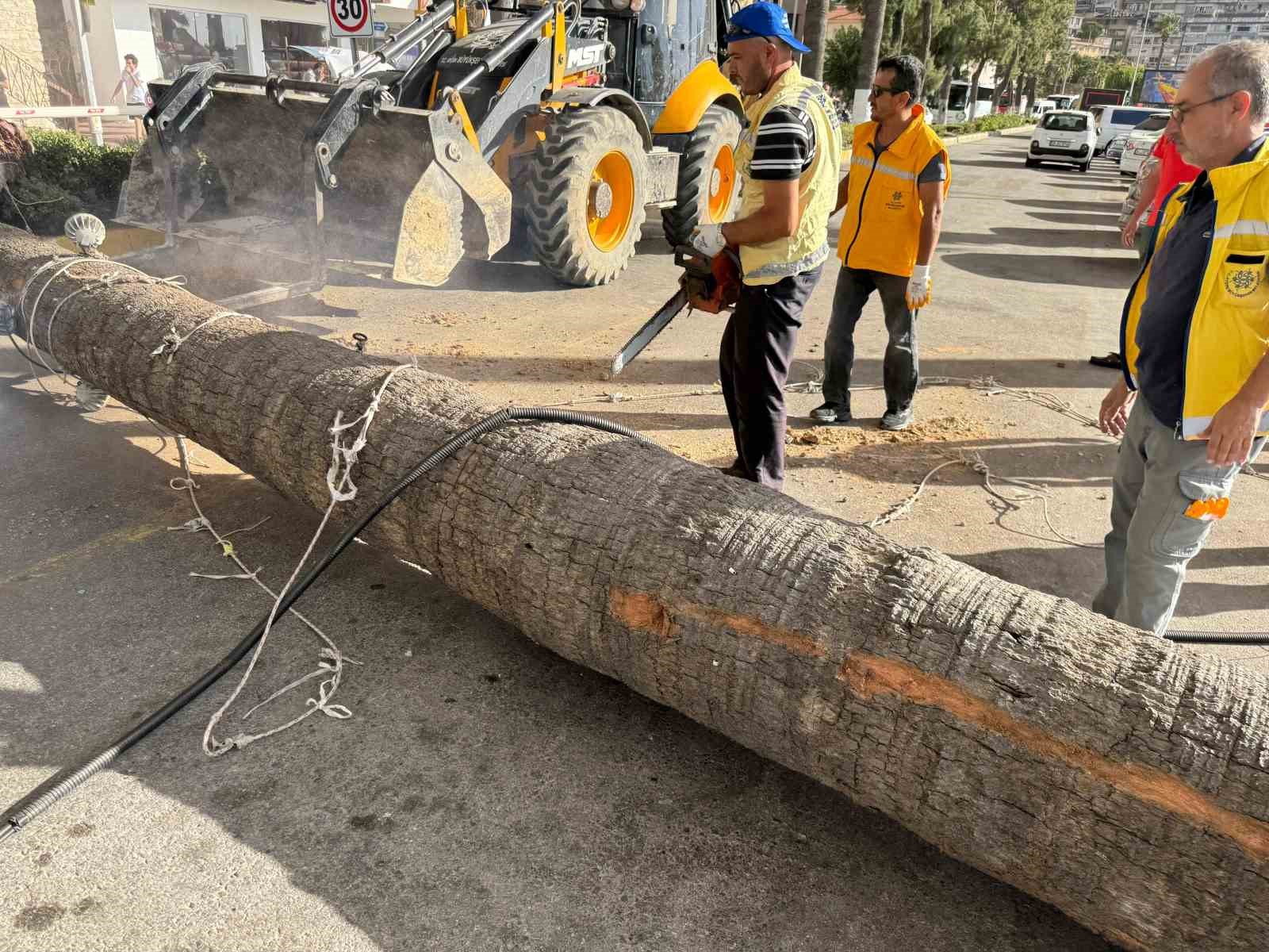 Kuşadası’nda devrilen ağaç ekiplerin müdahalesiyle kaldırıldı
