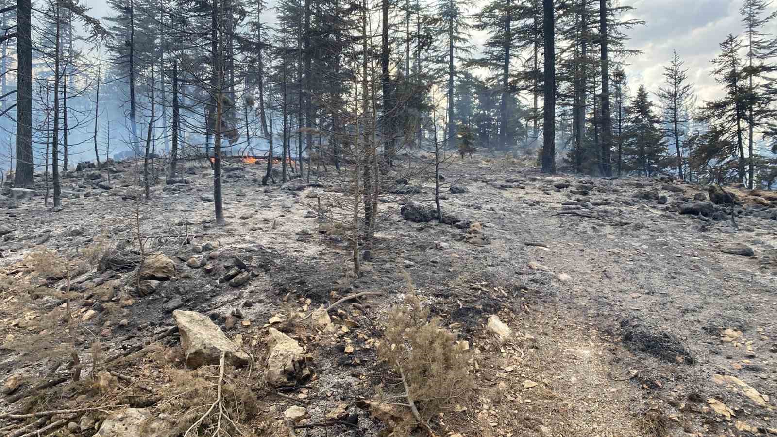 Karaman’da çıkan orman yangını kontrol altına alındı
