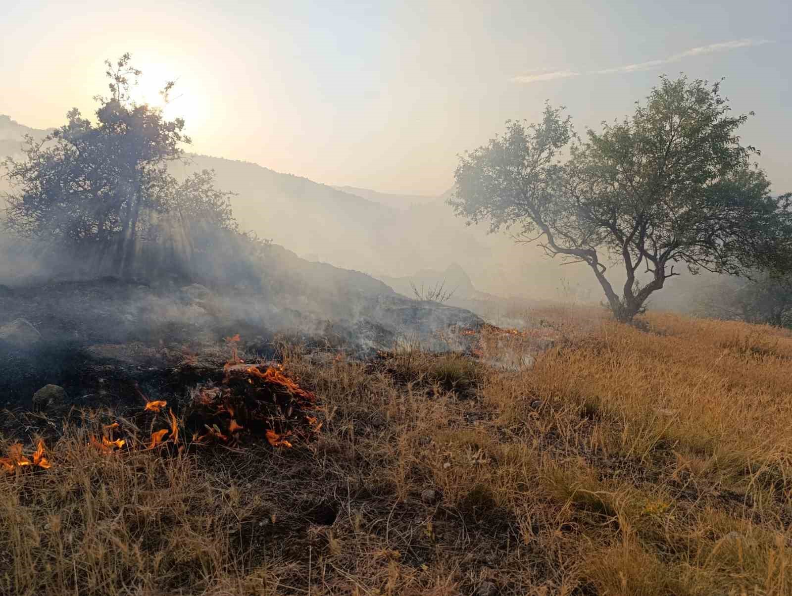 Afyonkarahisar’da çıkan orman yangını 1 saatin sonunda söndürüldü
