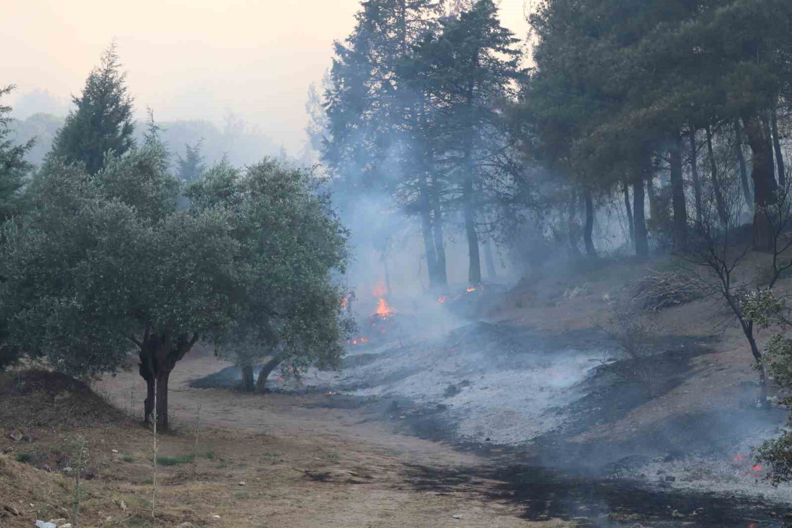 İzmir Selçuk’ta orman yangını: 4 uçak, 8 helikopter ve 44 arazözle müdahale ediliyor
