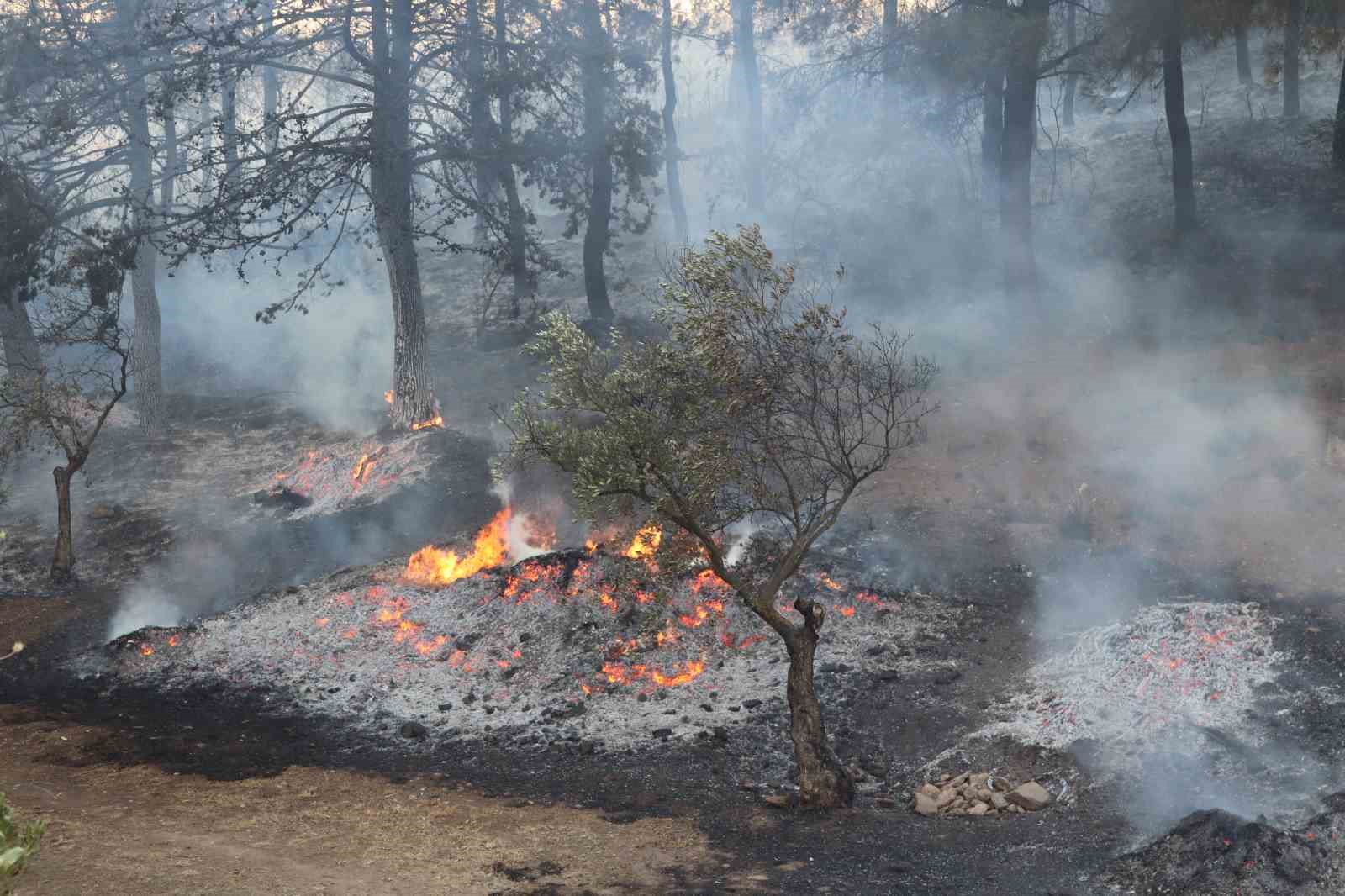 İzmir Selçuk’ta orman yangını: 4 uçak, 8 helikopter ve 44 arazözle müdahale ediliyor
