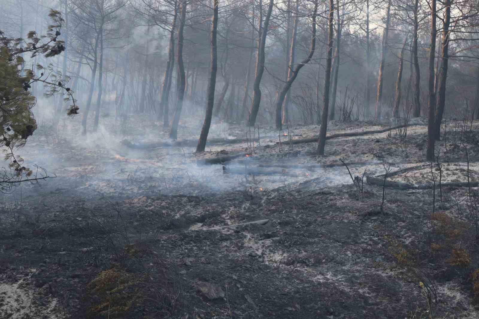 İzmir Selçuk’ta orman yangını: 4 uçak, 8 helikopter ve 44 arazözle müdahale ediliyor
