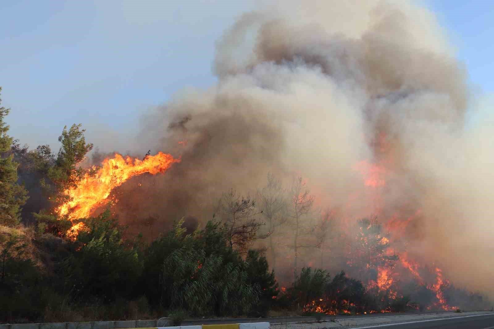 İzmir Selçuk’ta orman yangını: 4 uçak, 8 helikopter ve 44 arazözle müdahale ediliyor
