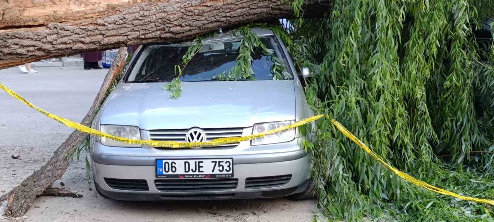 Ankara’da söğüt ağacı park halindeki araçların üzerine devrildi
