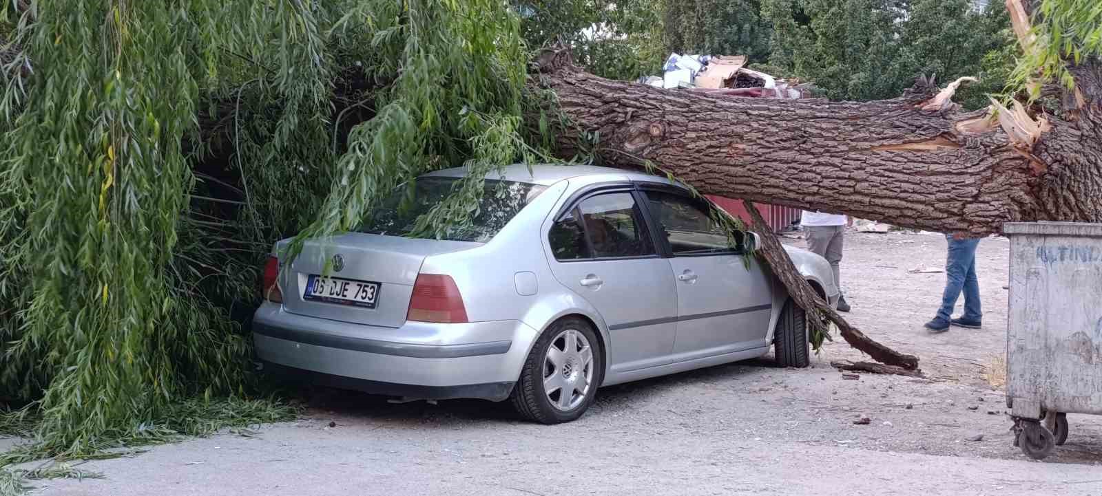 Ankara’da söğüt ağacı park halindeki araçların üzerine devrildi
