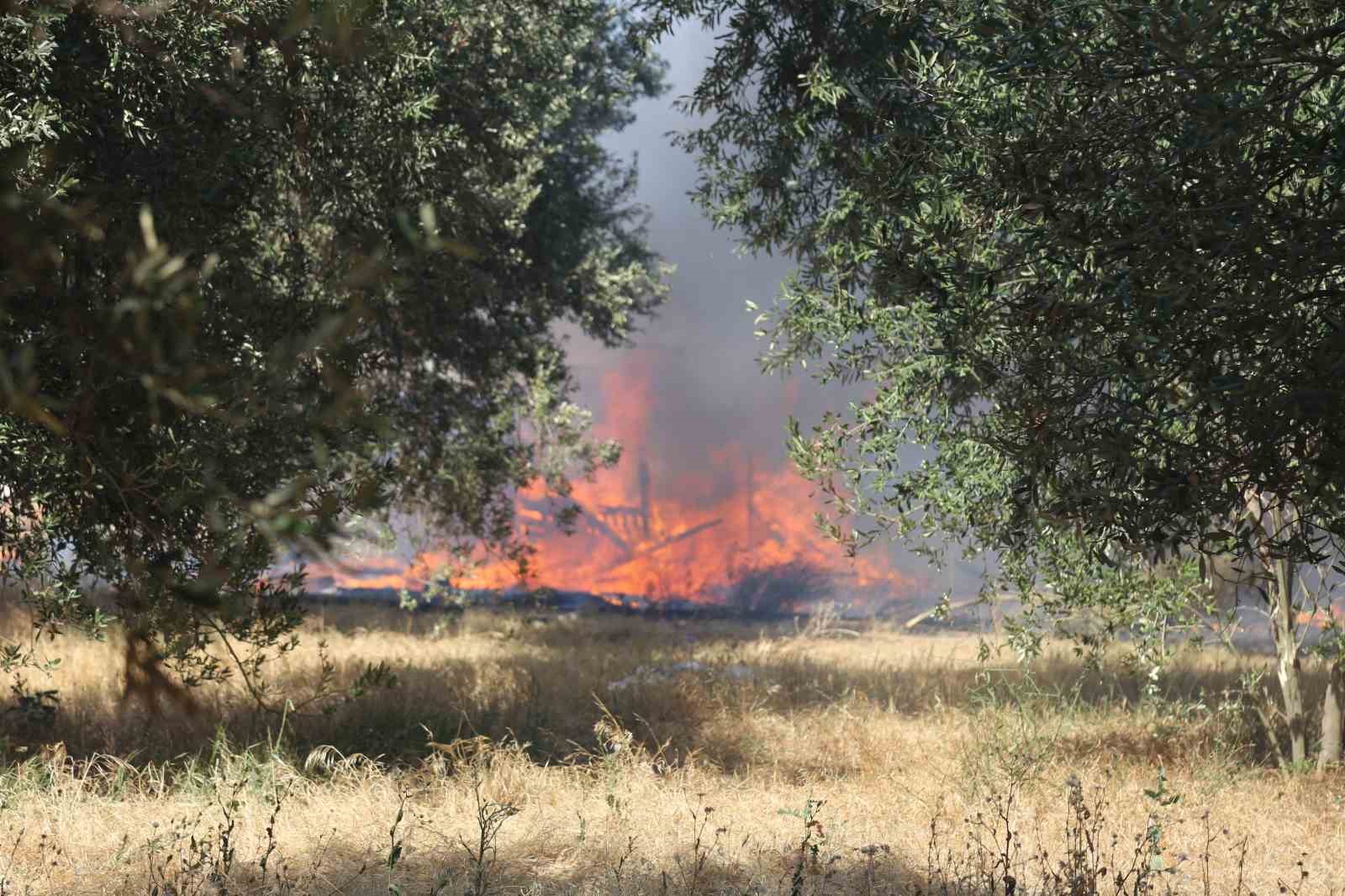 Ayvalık’ta çöp döküm alanında çıkan yangın otluk ve zeytinlik alana sıçradı
