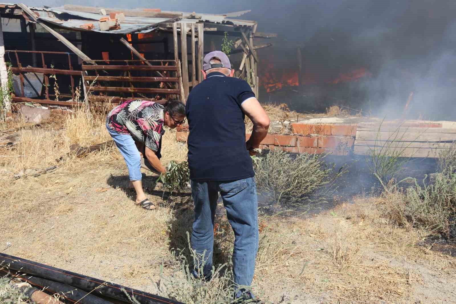 Ayvalık’ta çöp döküm alanında çıkan yangın otluk ve zeytinlik alana sıçradı
