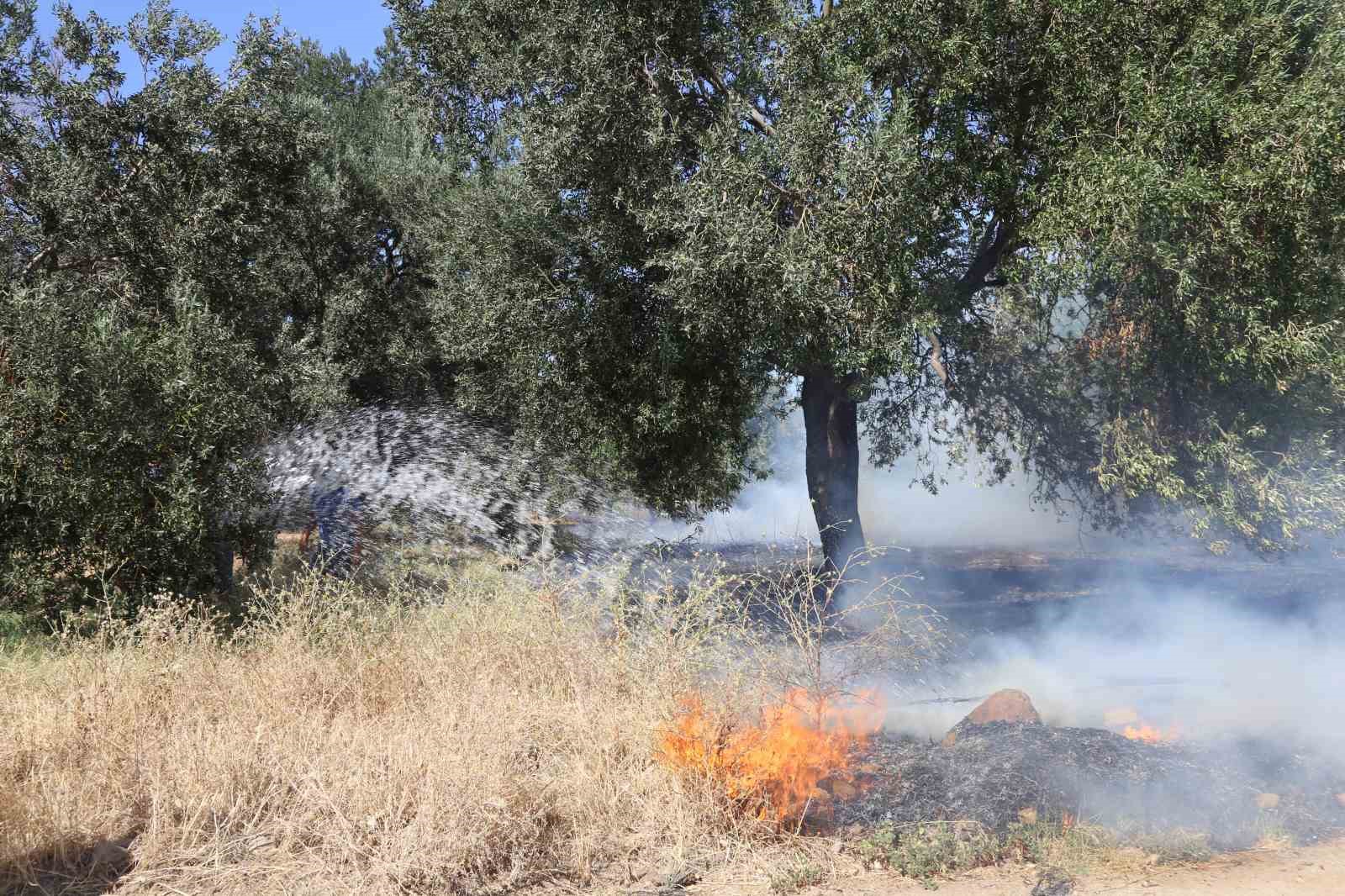 Ayvalık’ta çöp döküm alanında çıkan yangın otluk ve zeytinlik alana sıçradı
