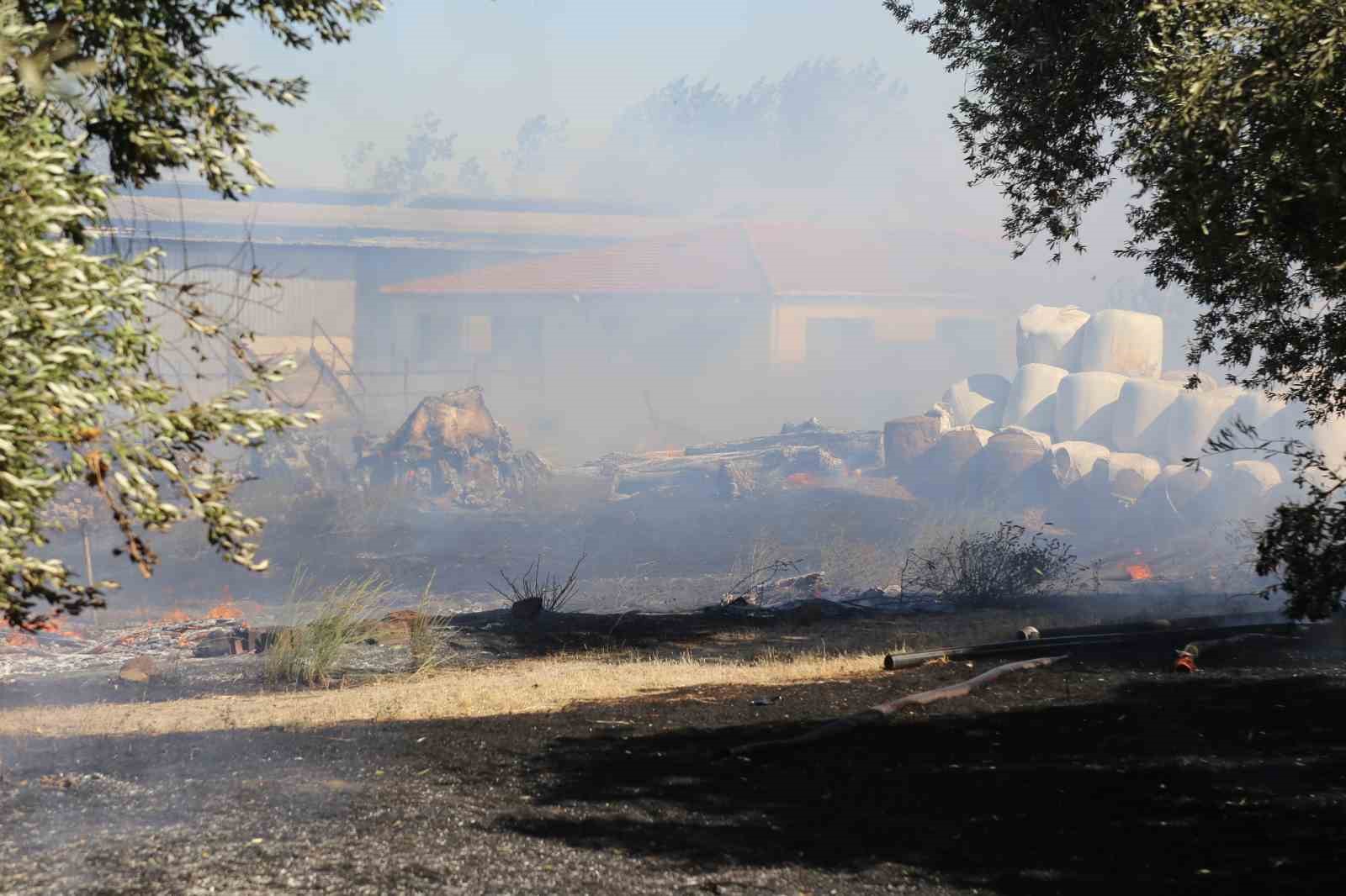 Ayvalık’ta çöp döküm alanında çıkan yangın otluk ve zeytinlik alana sıçradı
