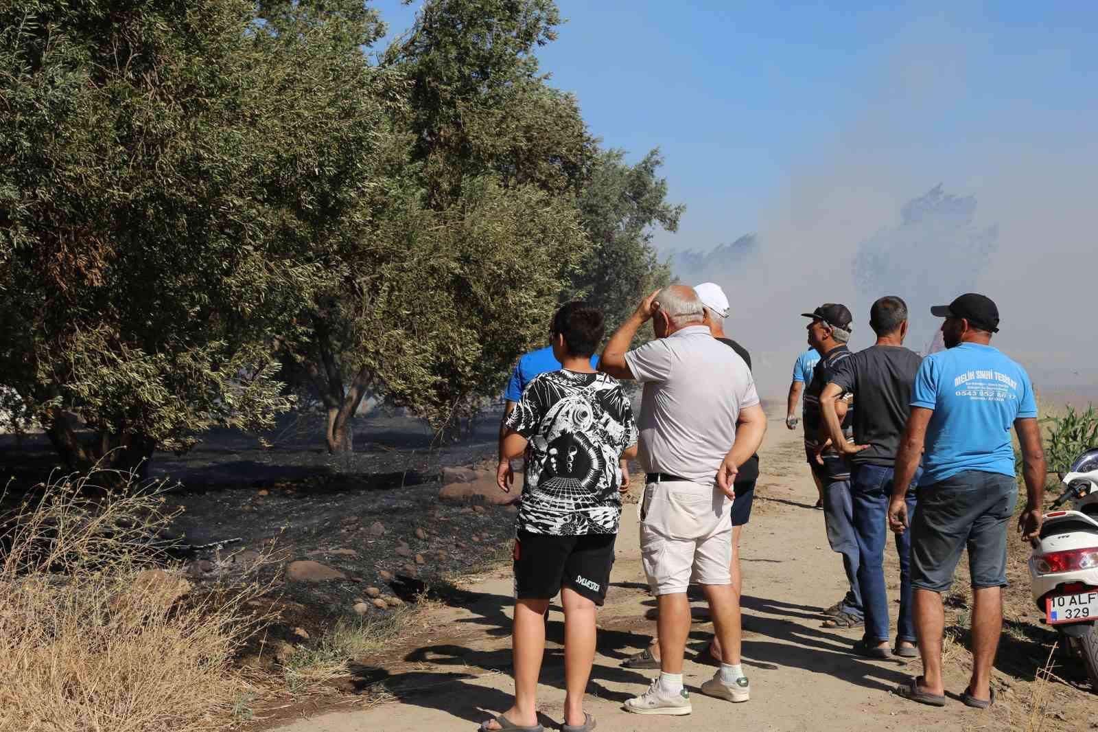 Ayvalık’ta çöp döküm alanında çıkan yangın otluk ve zeytinlik alana sıçradı
